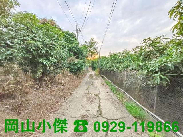 田寮農地-0