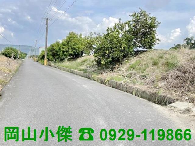 高雄阿蓮農地-0