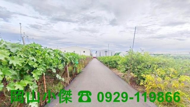 高雄燕巢農地-0