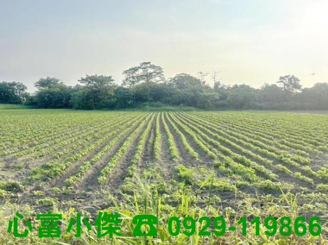 歸仁農地-0