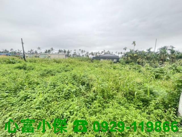 麟洛農地-0